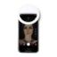 Imagen de LUMAX 1179